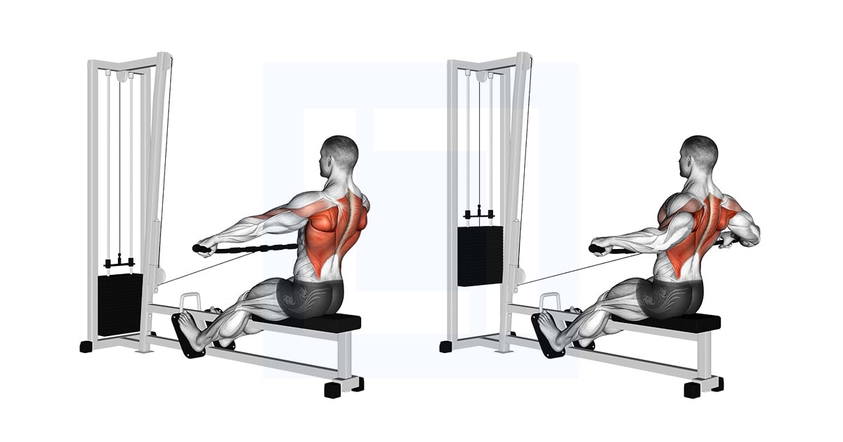 Poulie Assis Wide Grip Rowing