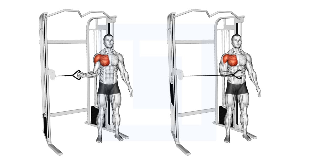 Poulie Shoulder Internal Rotation