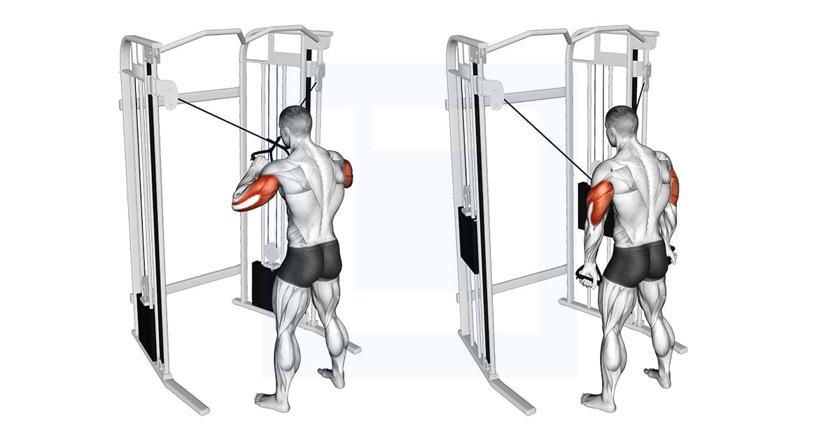 Poulie Debout High Cross Triceps Extension