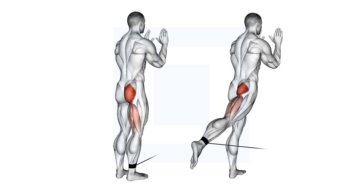 Poulie Debout Hip Extension