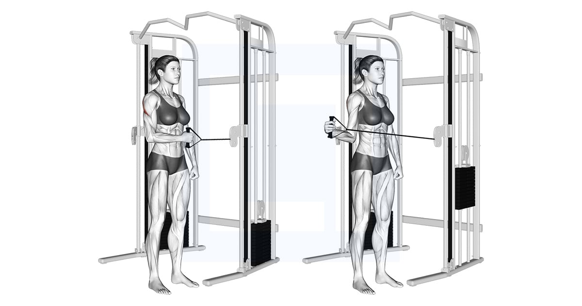 Poulie Debout Shoulder External Rotation