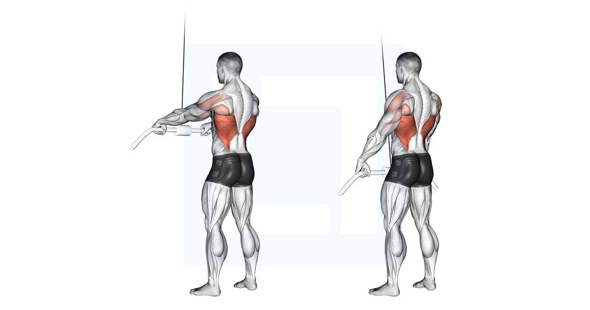 Poulie Straight Arm Pulldown
