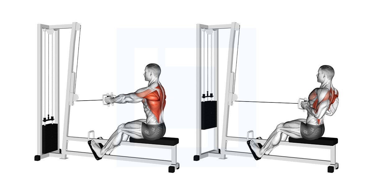 Poulie Straight Back Assis Rowing