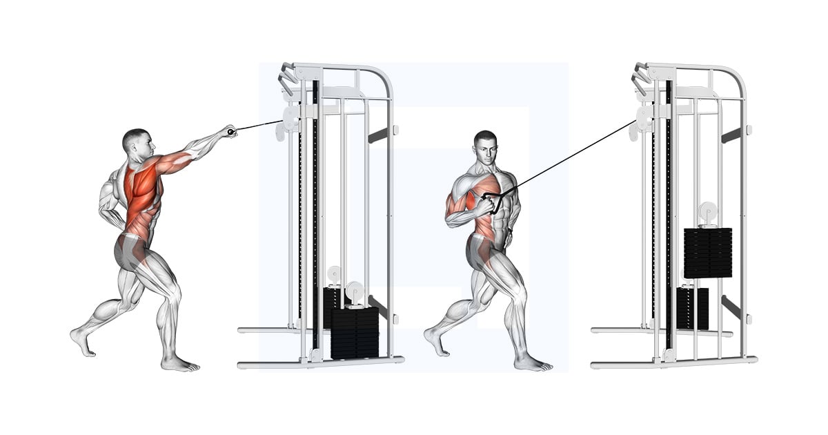 Poulie Twisting Debout High Rowing