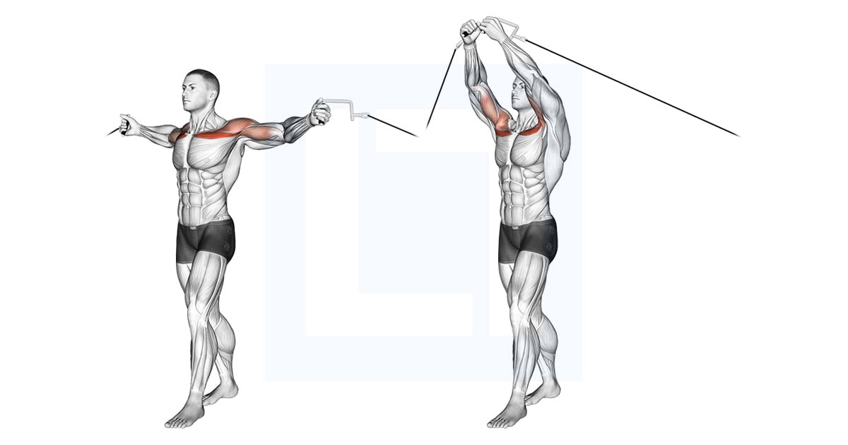 Poulie Upper Chest Crossovers