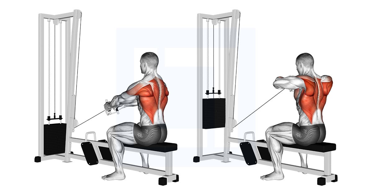 Poulie Upper Rowing