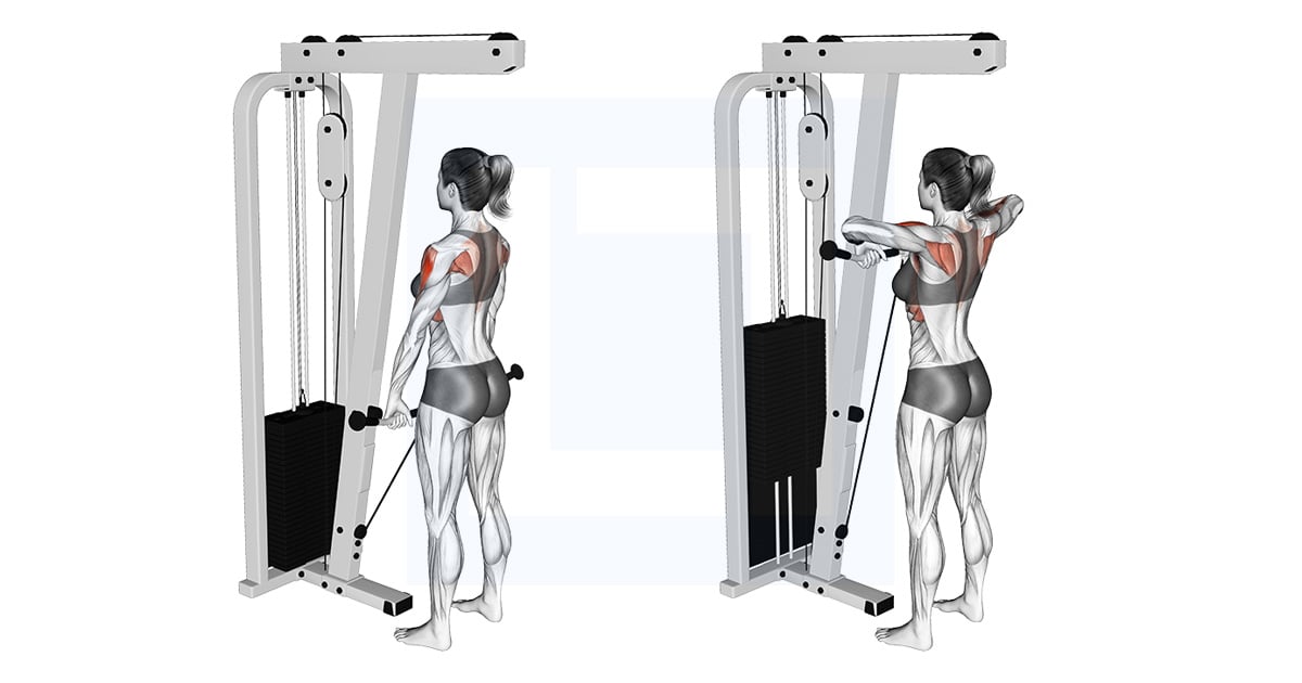Poulie Upright Rowing