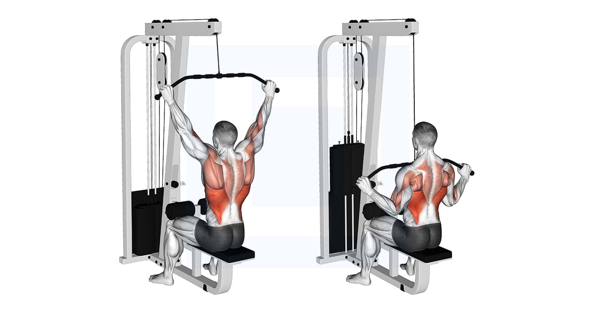 Poulie Wide Pulldown