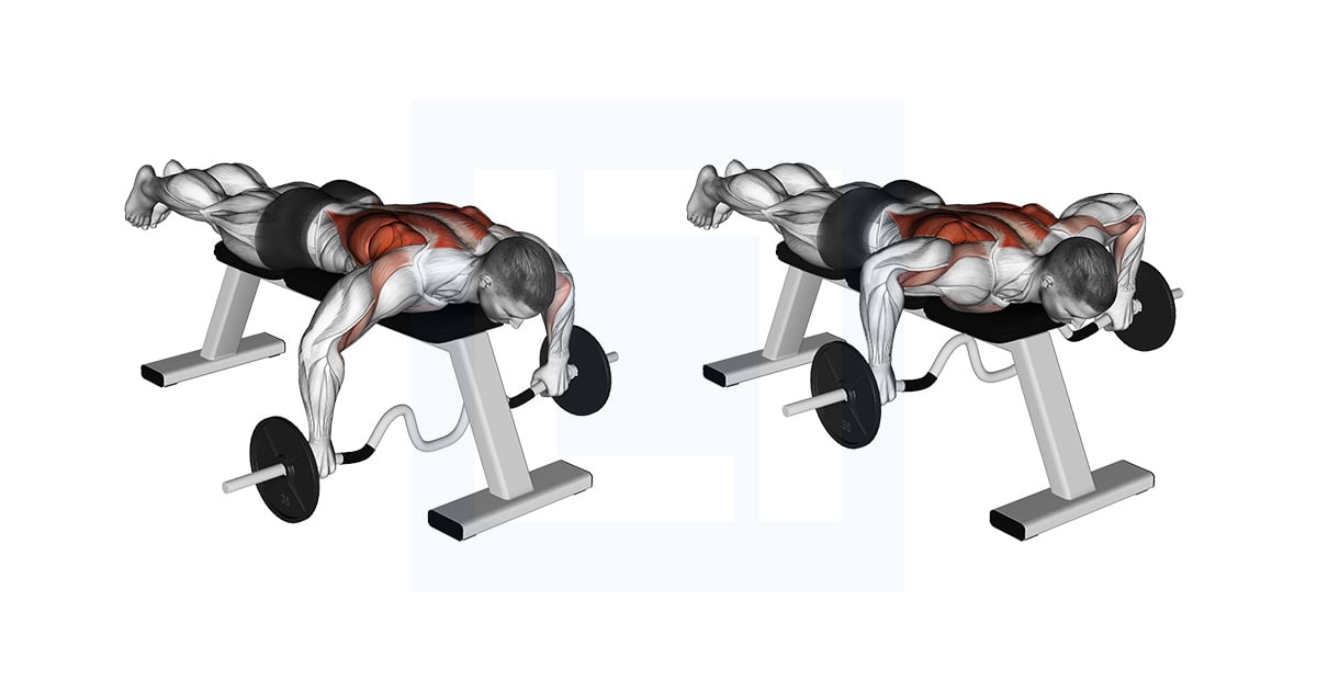 Cambered Bar Allongé Rowing