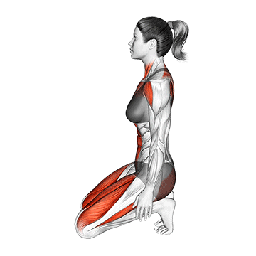 Camel Pose Ustrasana