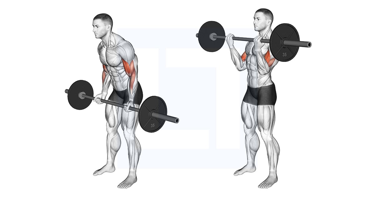 Cheat Curl