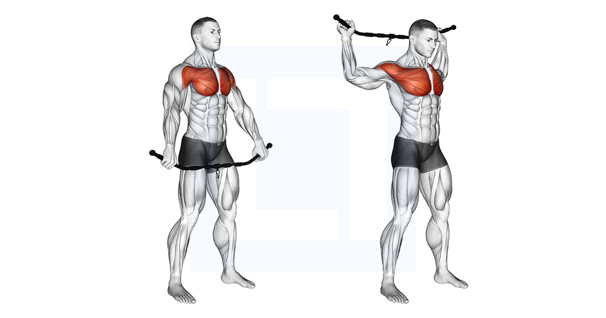 Chest and Front of Shoulder Stretch