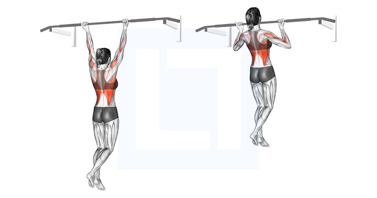 Tractions supination