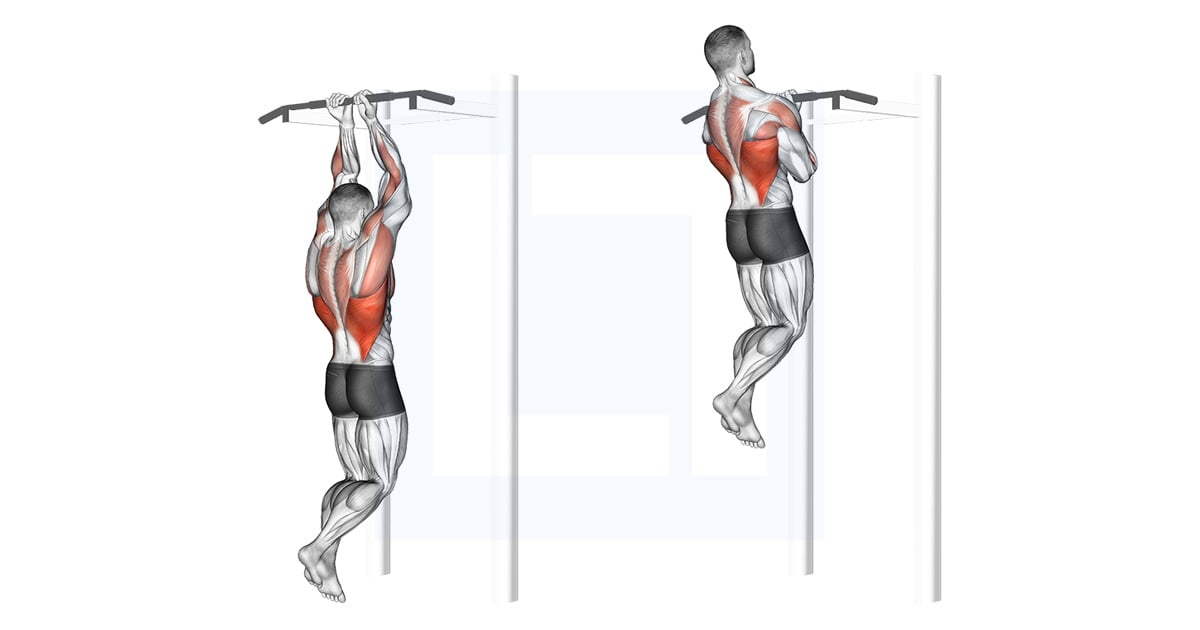 Close Grip Tractions supination