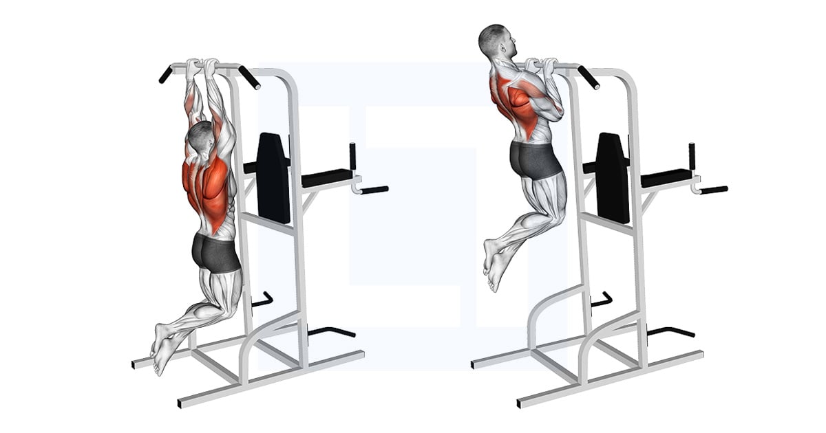 Close Grip Pull-up