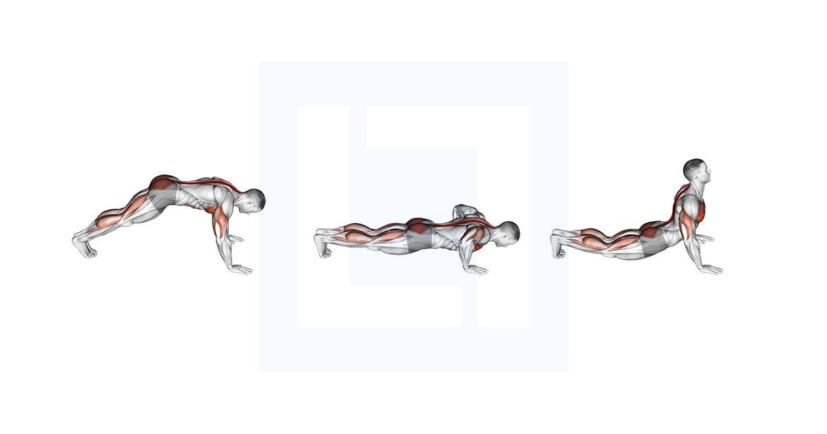Cobra Pompes