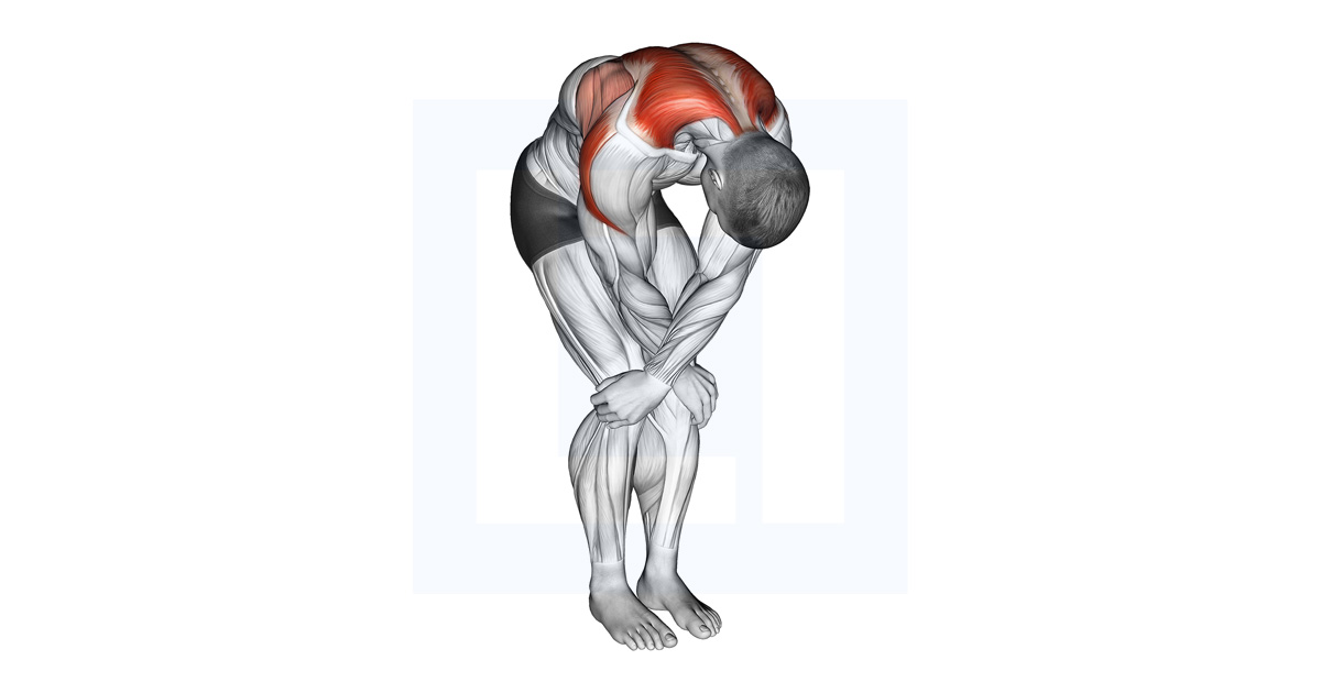 Cross Over Shoulder Stretch