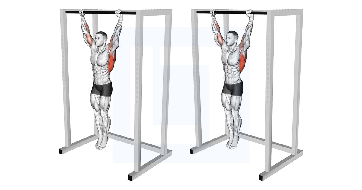 Dead Hang Stretch