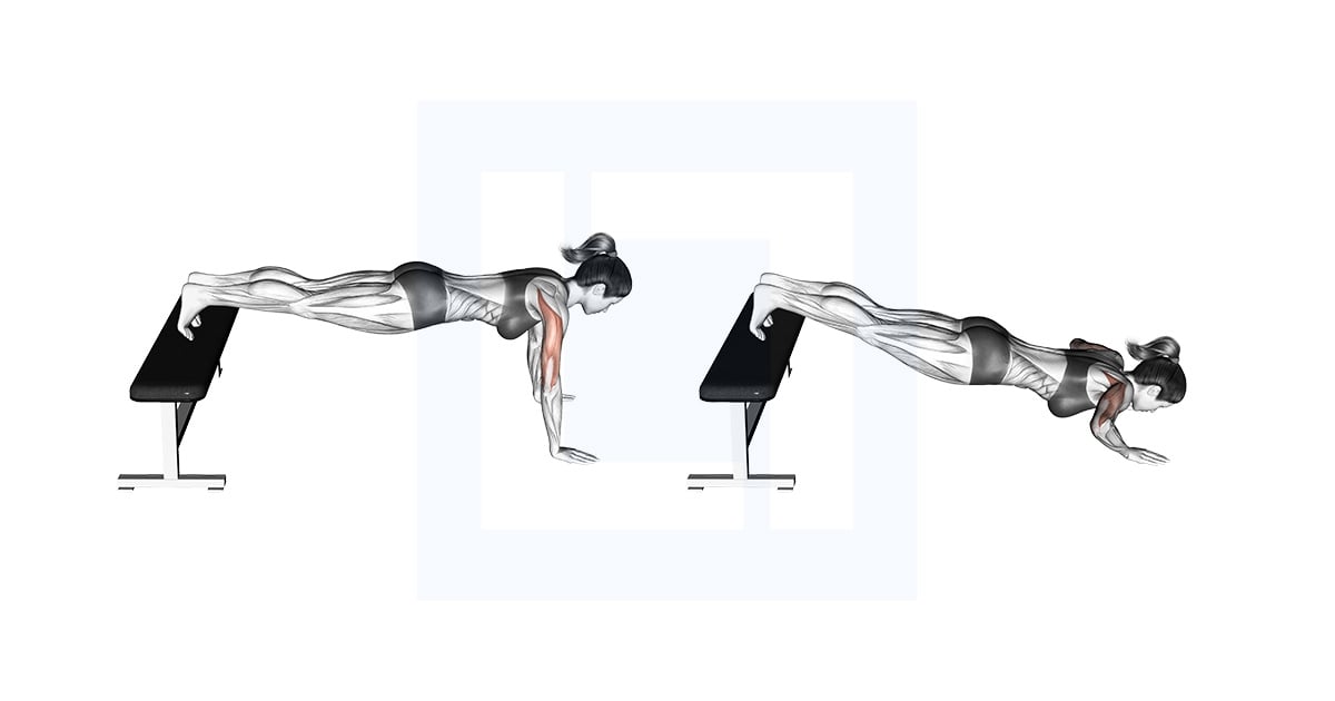 Decline Pompes