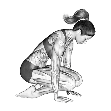 Double Kneeling Shin Stretch