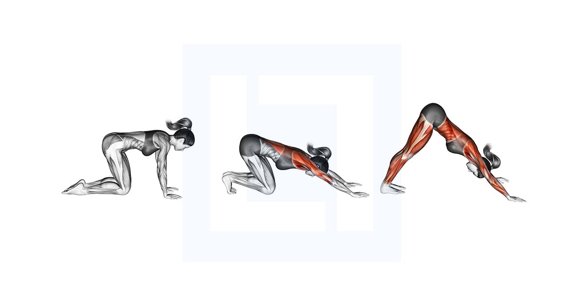 Downward Facing Dog Adho Mukha Svanasana