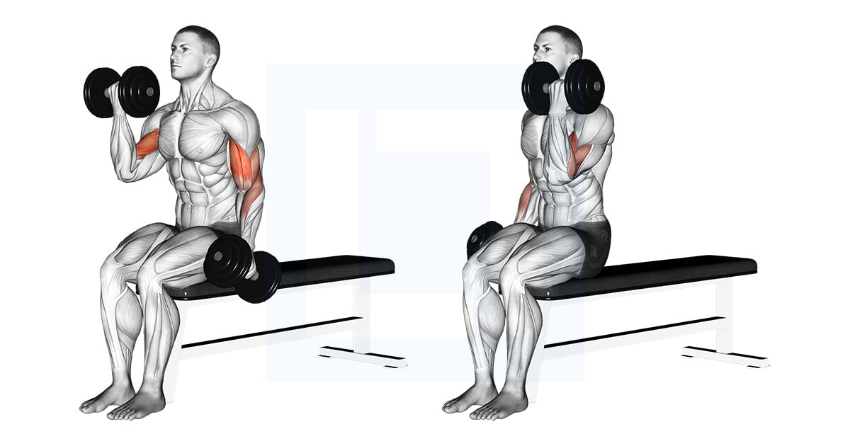 Haltères Alternate Biceps Curl