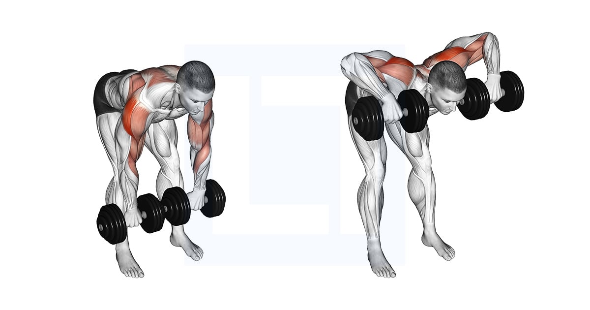 Haltères Bent Over Face pull