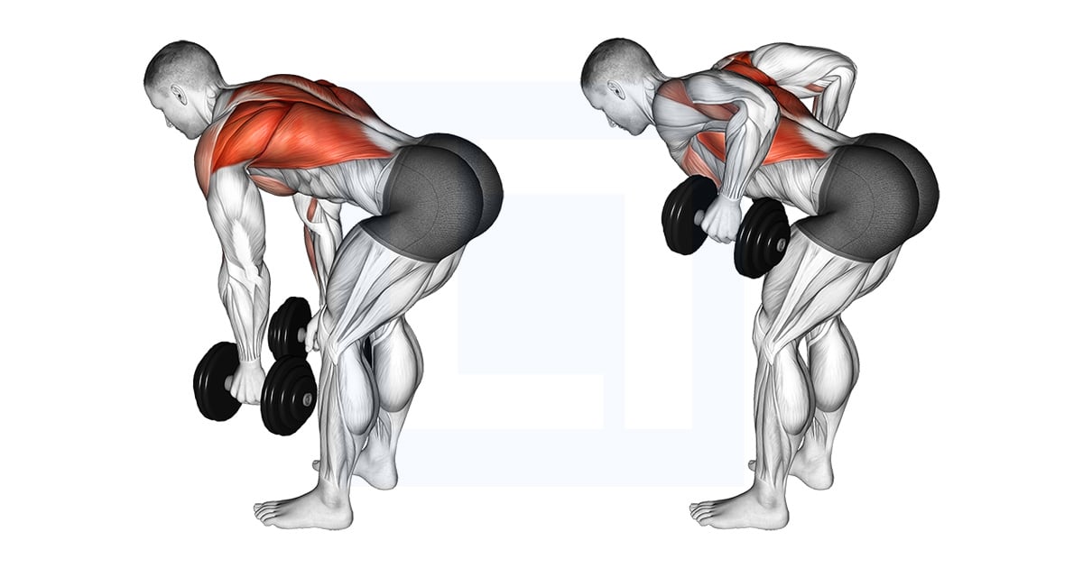 Haltères Bent Over Rowing