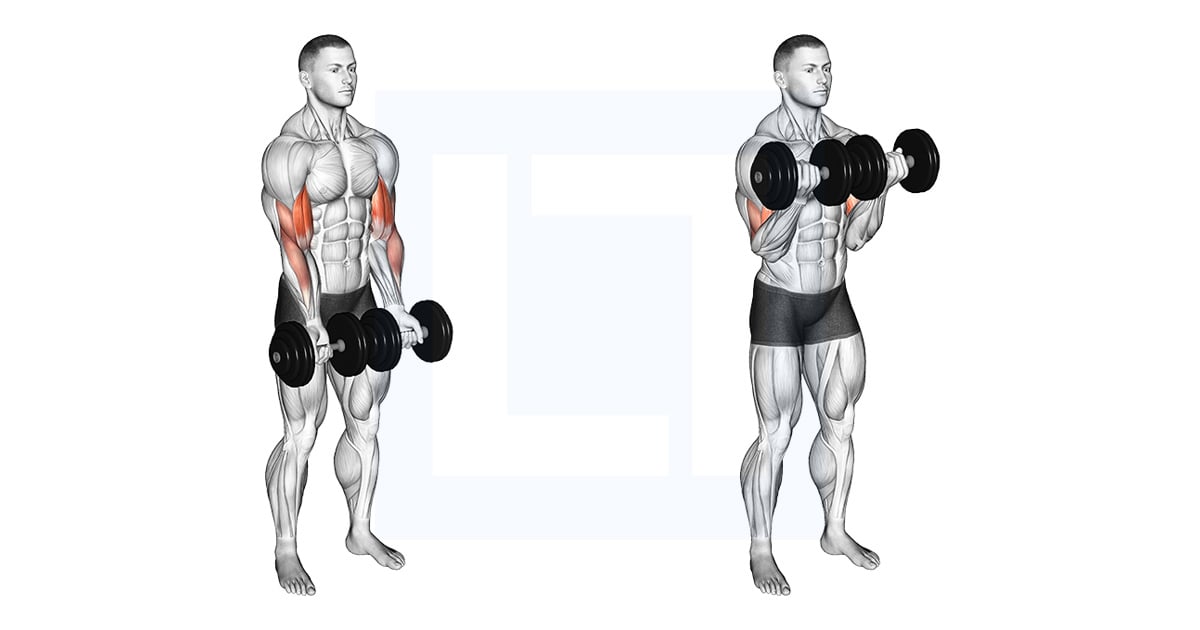 Haltères Close Grip Curl