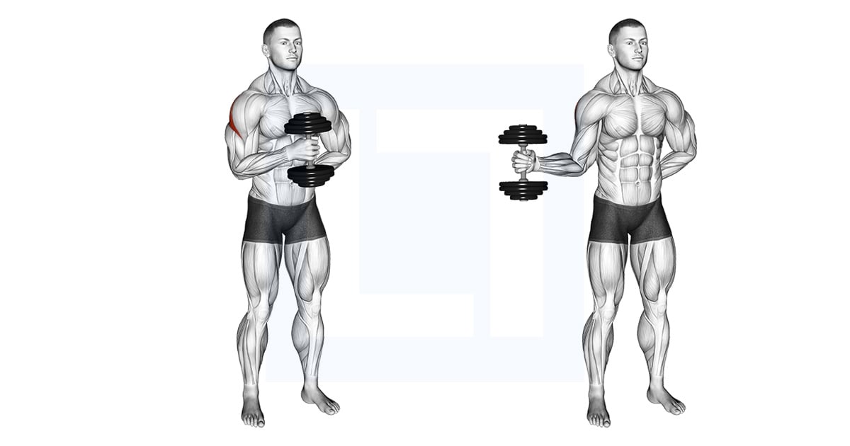 Haltères External Rotation
