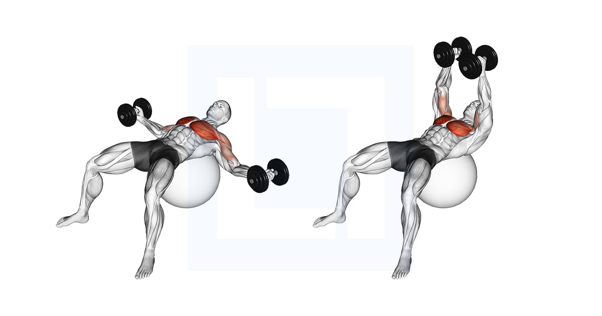 Haltères Écarté on Exercise Ball