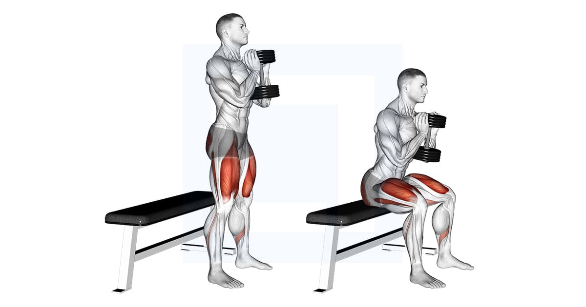 Squat sur box avec haltères