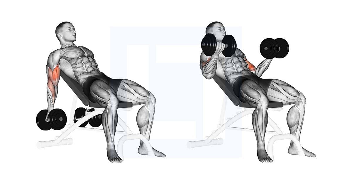Haltères Incline Biceps Curl