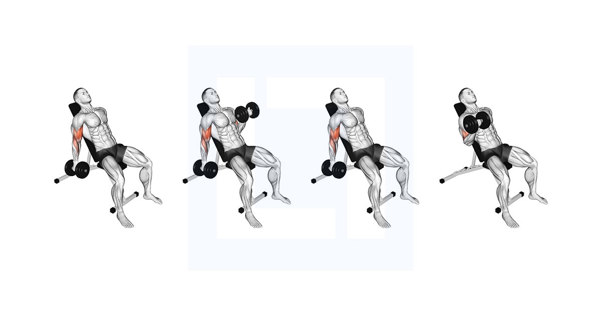 Haltères Incline Curl