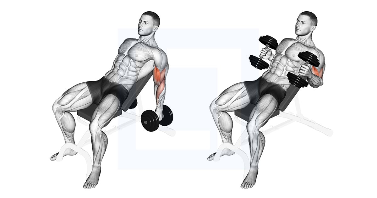 Haltères Incline Hammer Curl
