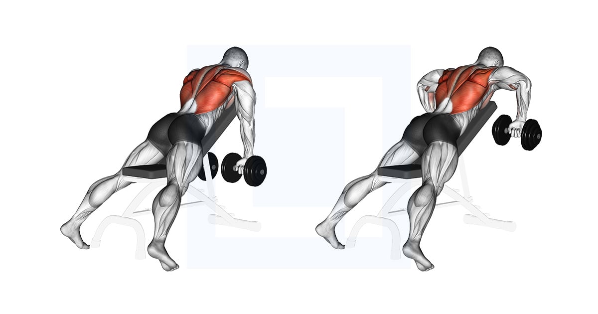Haltères Incline Rowing