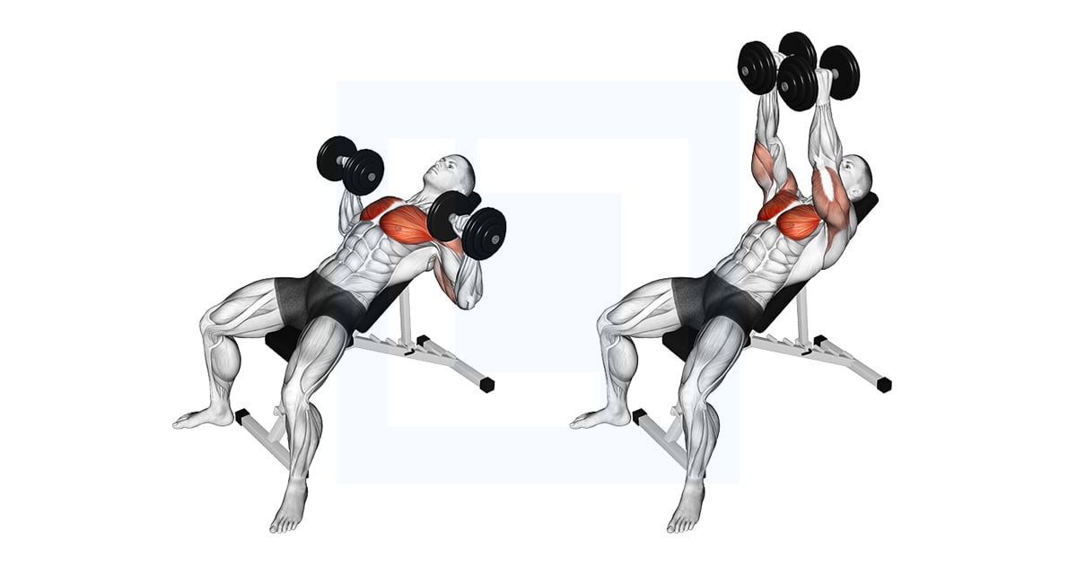 Haltères Incline Twist Développé