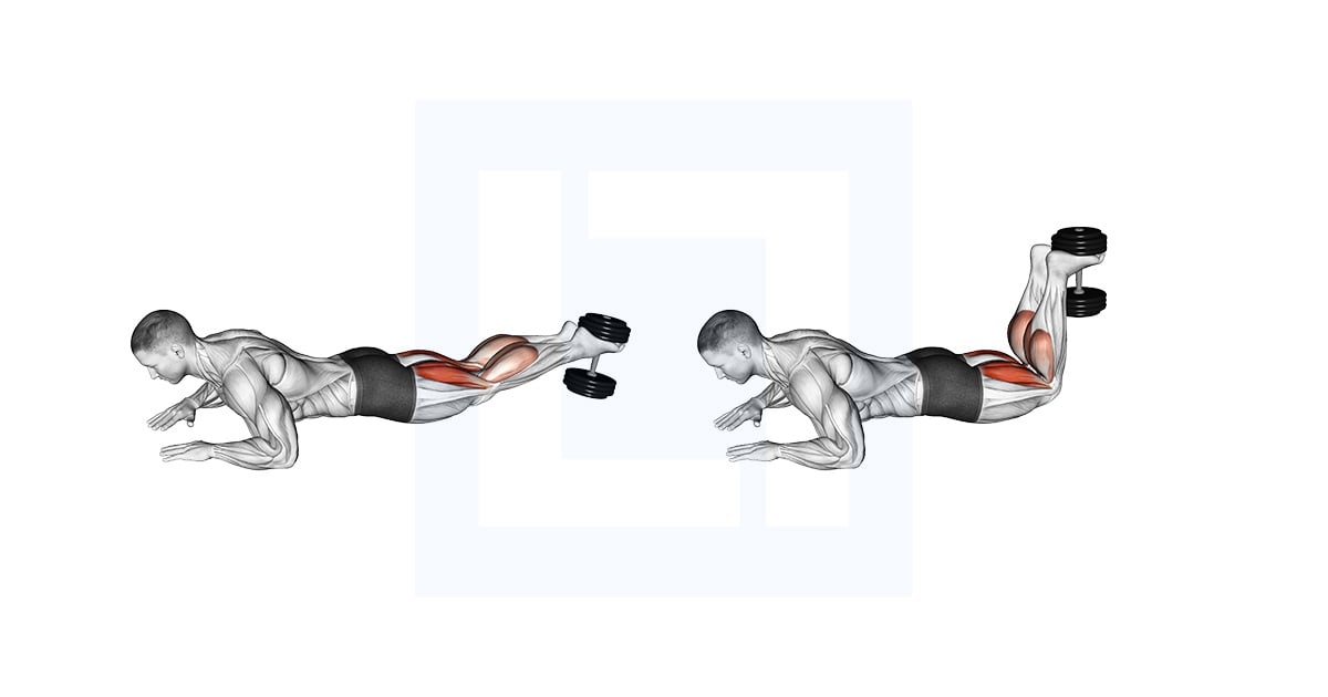 Curl ischio-jambiers couché avec haltères