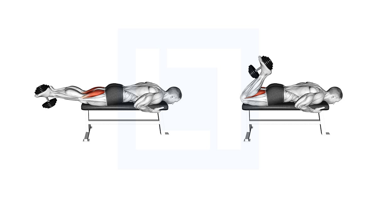 Curl des jambes allongées avec haltères