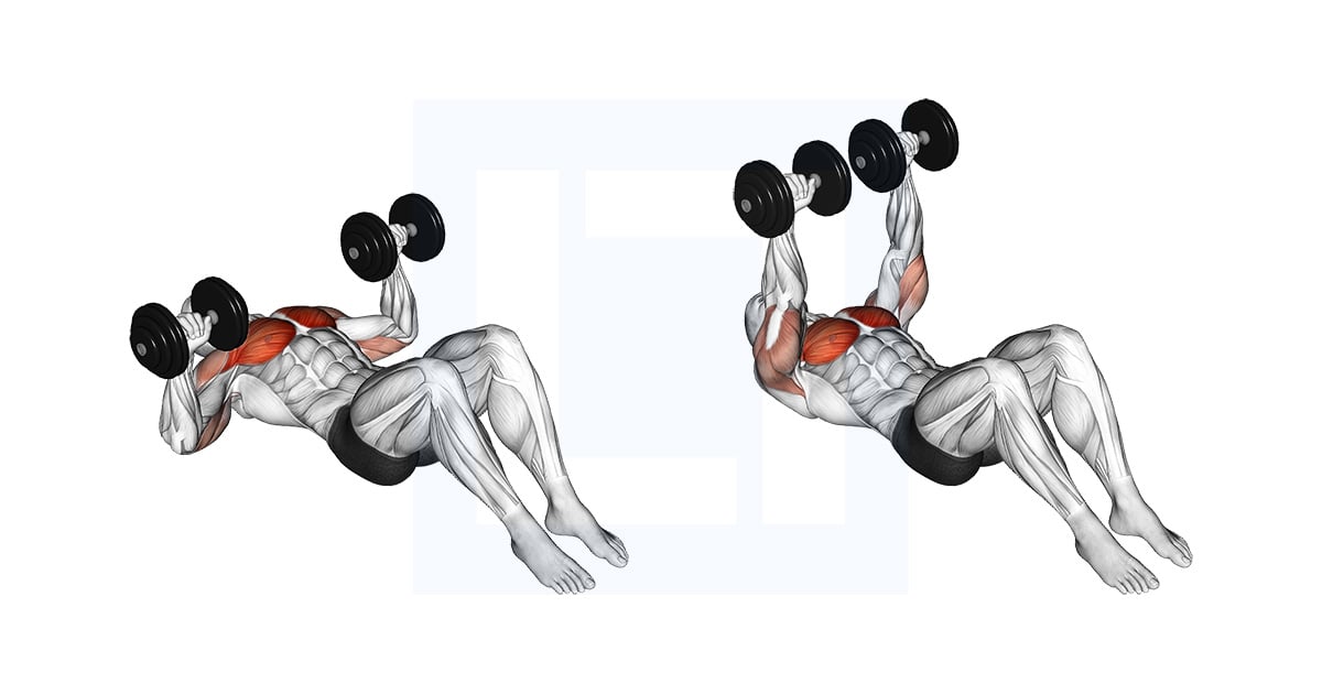 Haltères Allongé on Floor Chest Développé
