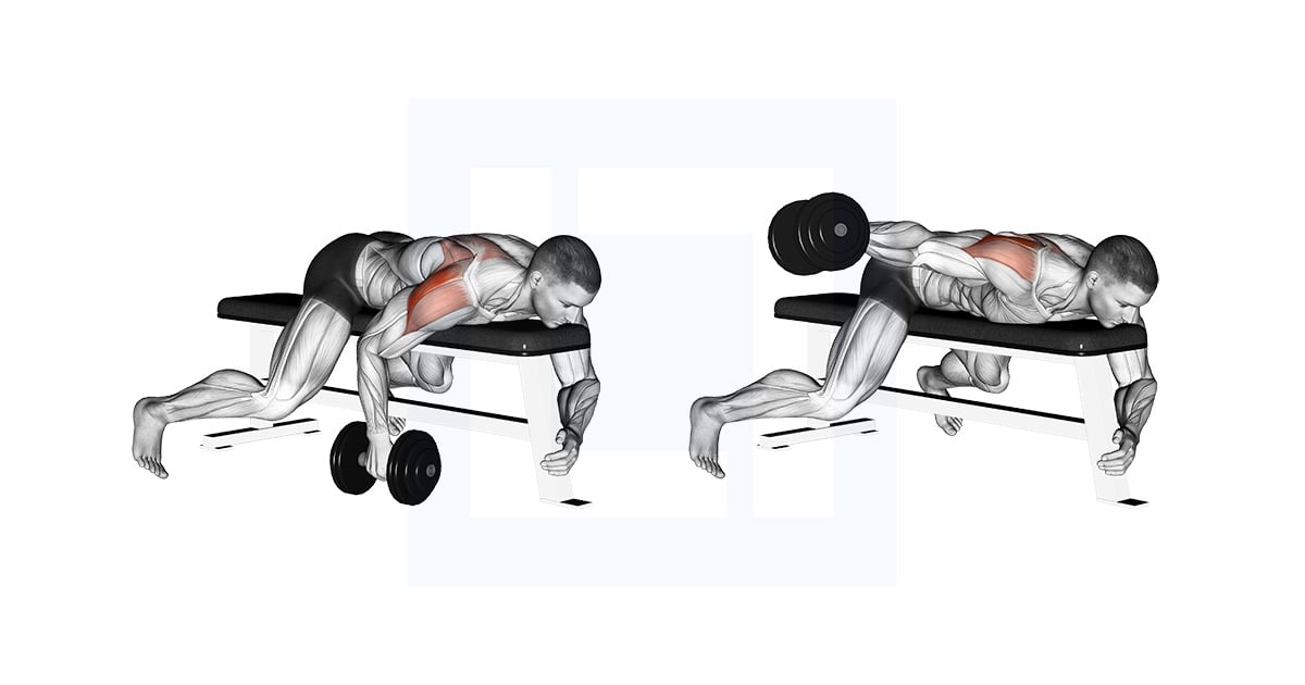 Haltères Allongé One Arm Rear Lateral Élévation