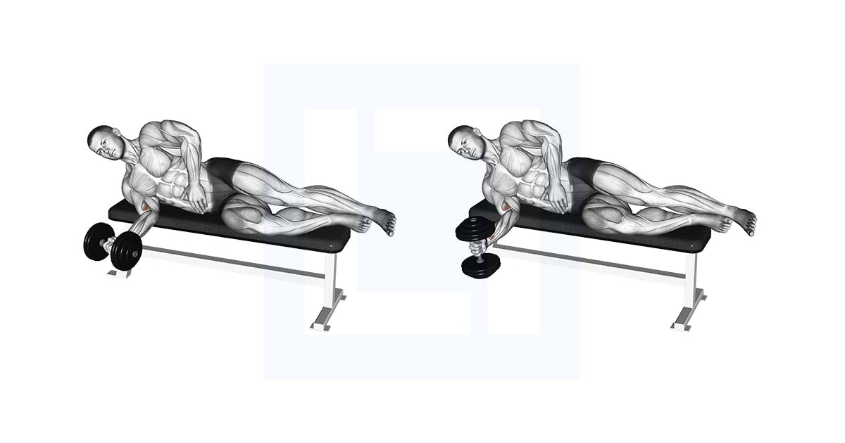 Haltères Allongé Pronation