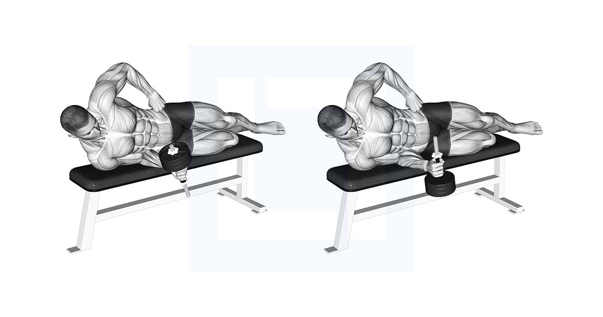 Haltères Allongé Supination