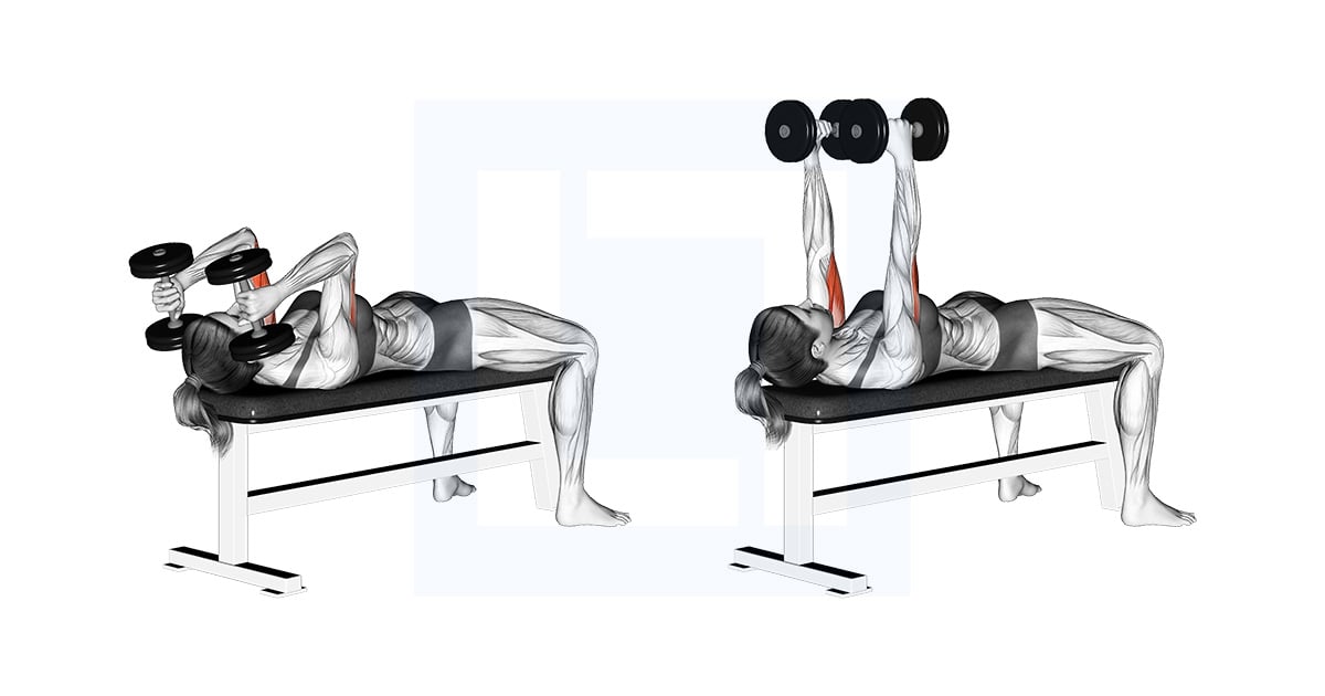 Haltères Allongé Triceps Extension