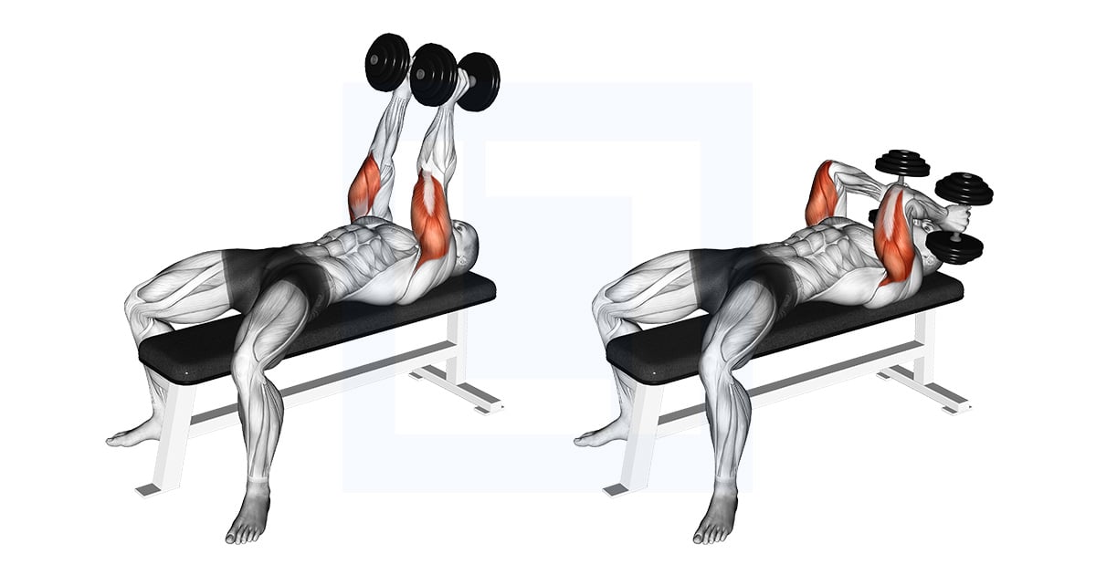 Haltères Neutral Grip Développé couché