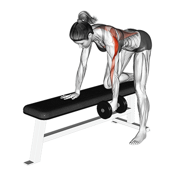 Haltères One Arm Bent Over Rowing