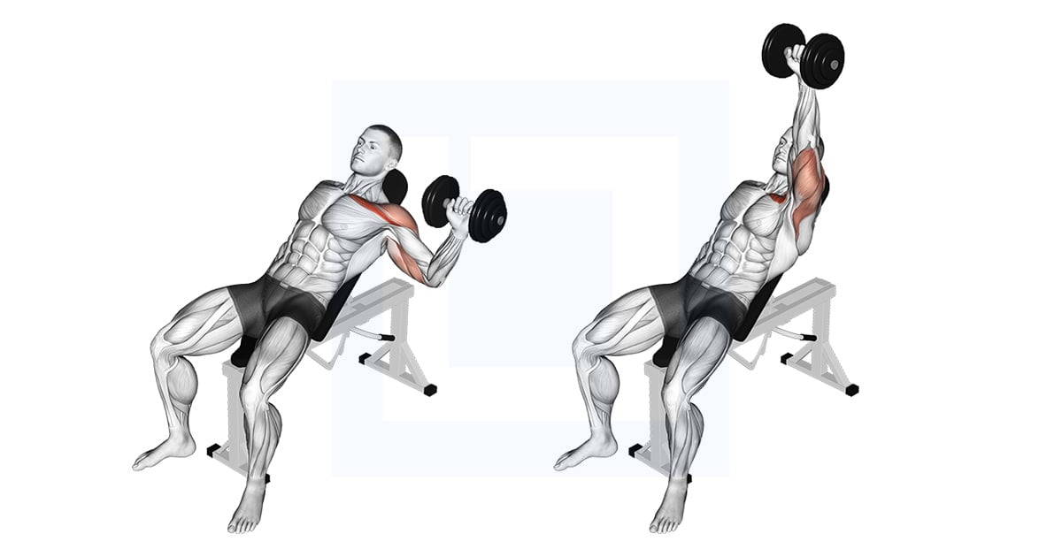 Haltères One Arm Incline Chest Développé