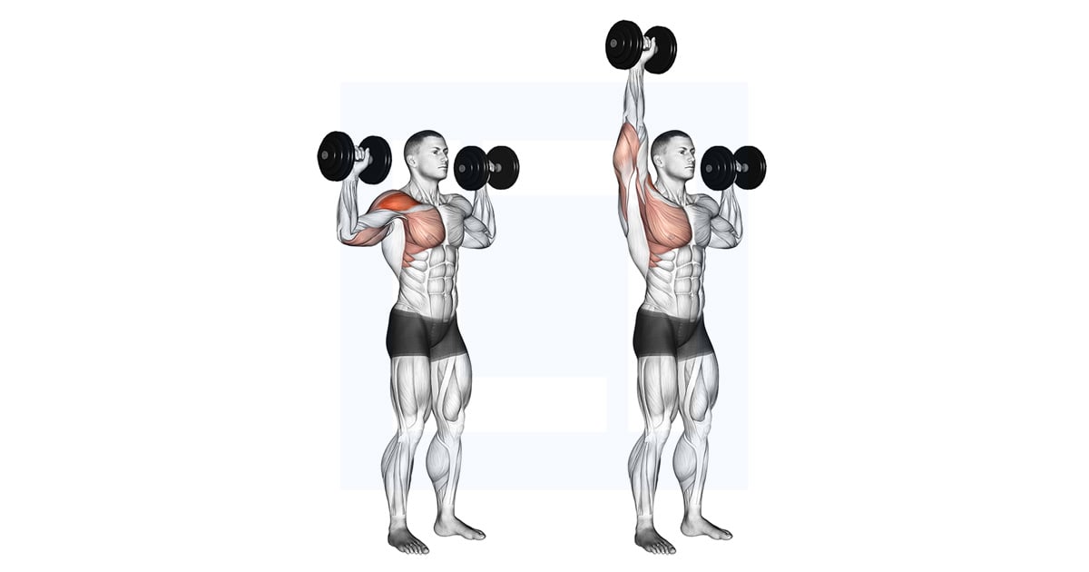 Haltères One Arm Shoulder Développé