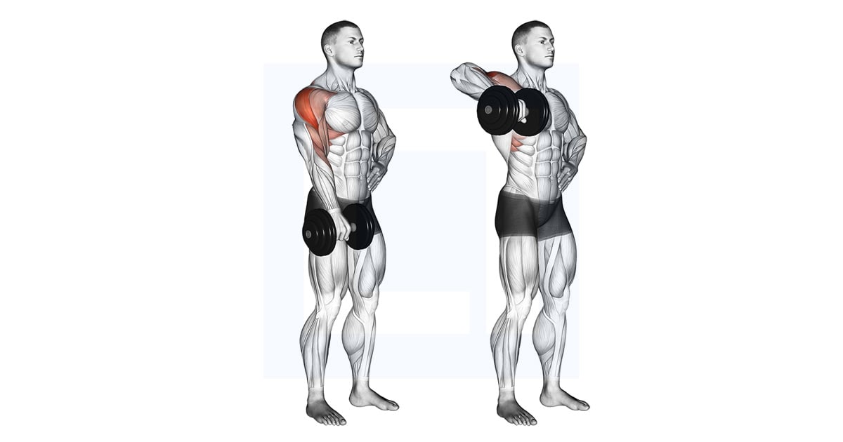 Haltères One Arm Upright Rowing