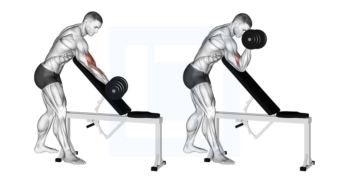Haltères One Arm Zottman Preacher Curl